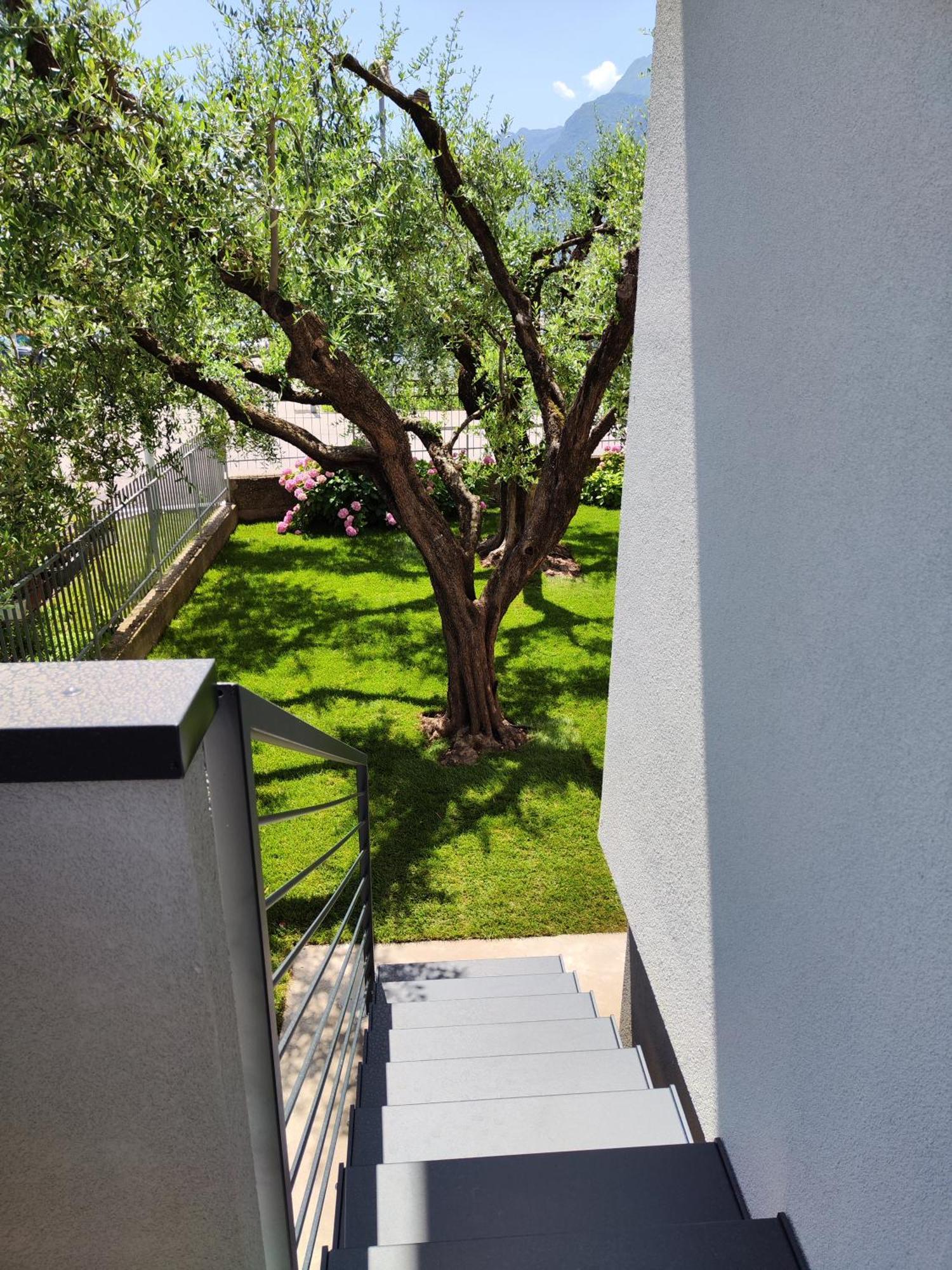 Ferienwohnung Oasi Degli Ulivi Riva del Garda Exterior foto