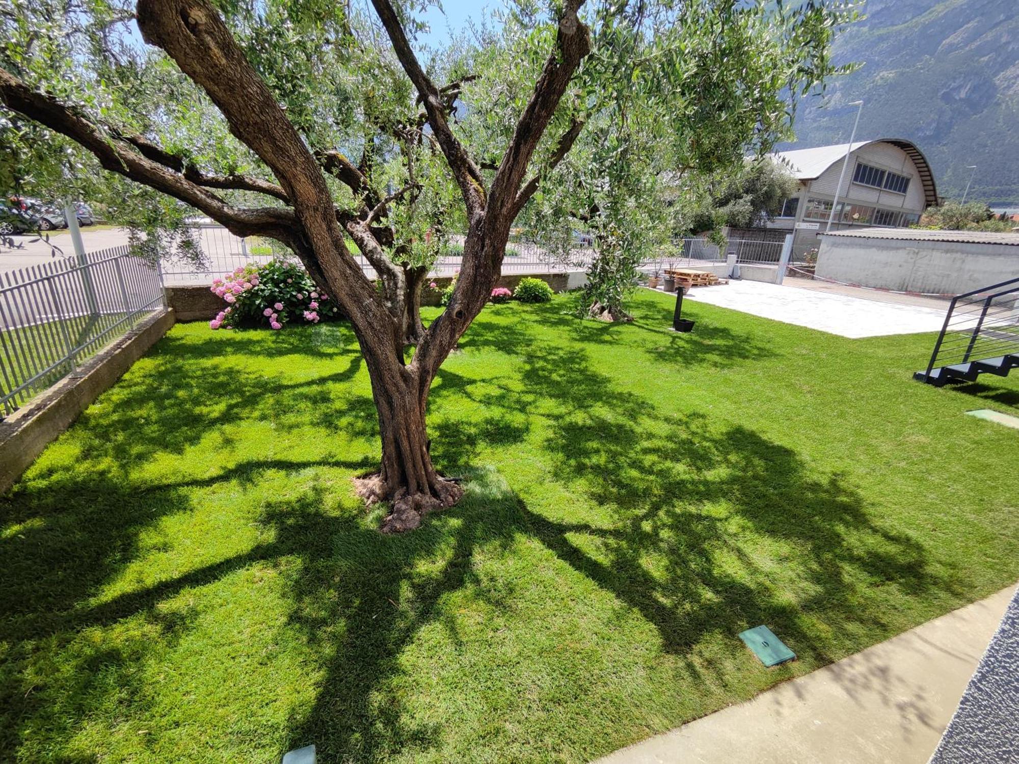 Ferienwohnung Oasi Degli Ulivi Riva del Garda Exterior foto