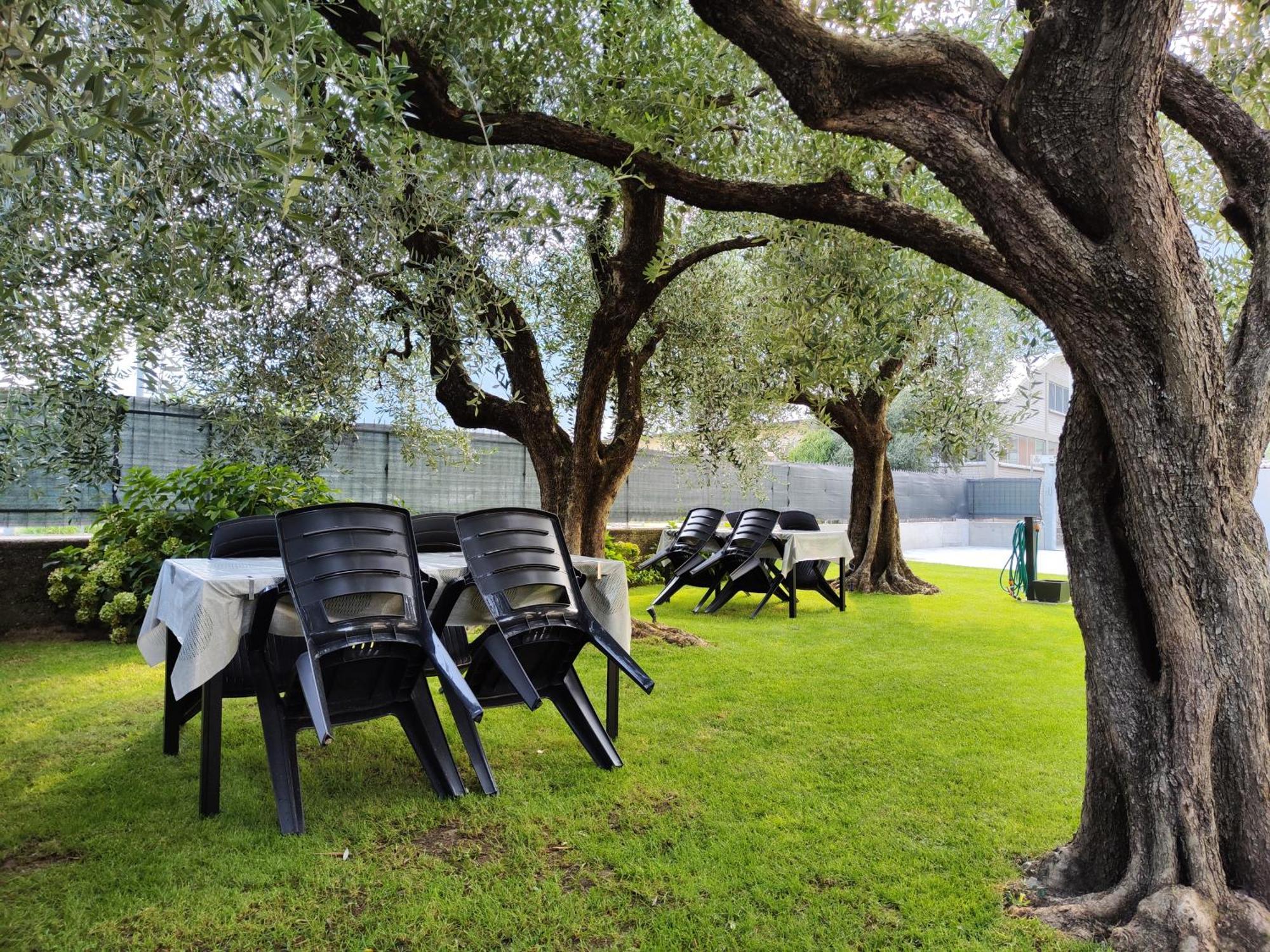 Ferienwohnung Oasi Degli Ulivi Riva del Garda Exterior foto